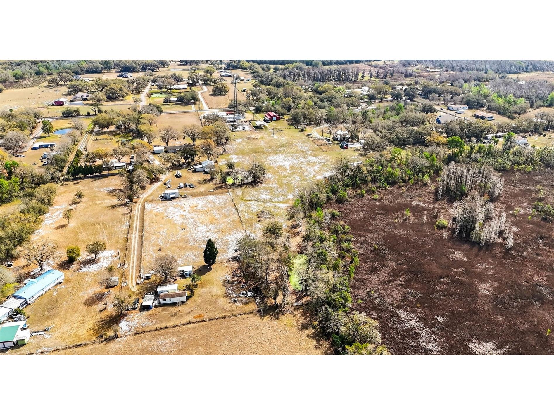 4361 Cooper Road Plant City FL 33565 TB8481664 image17