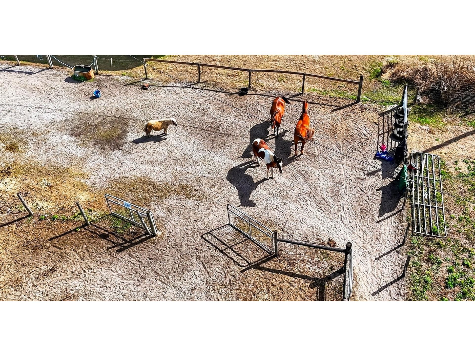 4361 Cooper Road Plant City FL 33565 TB8481664 image21