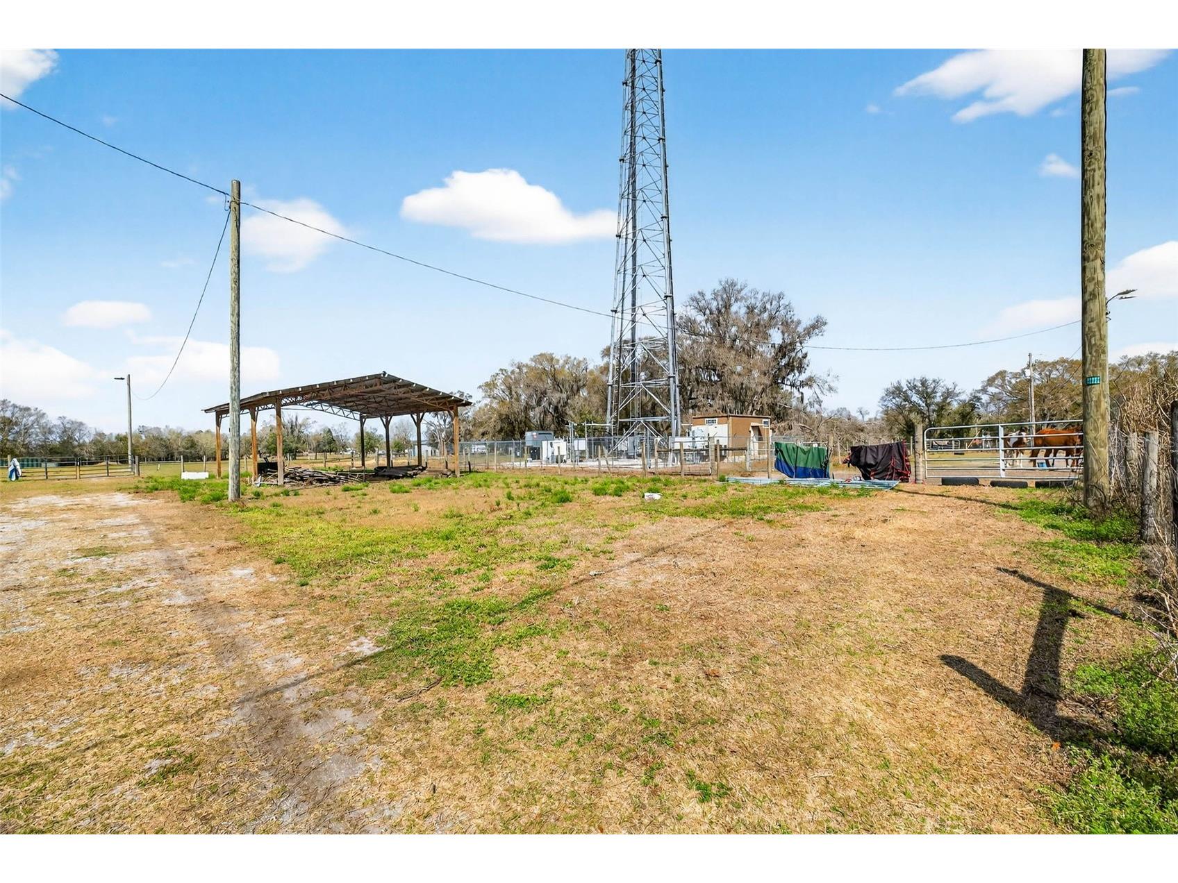 4361 Cooper Road Plant City FL 33565 TB8481664 image8