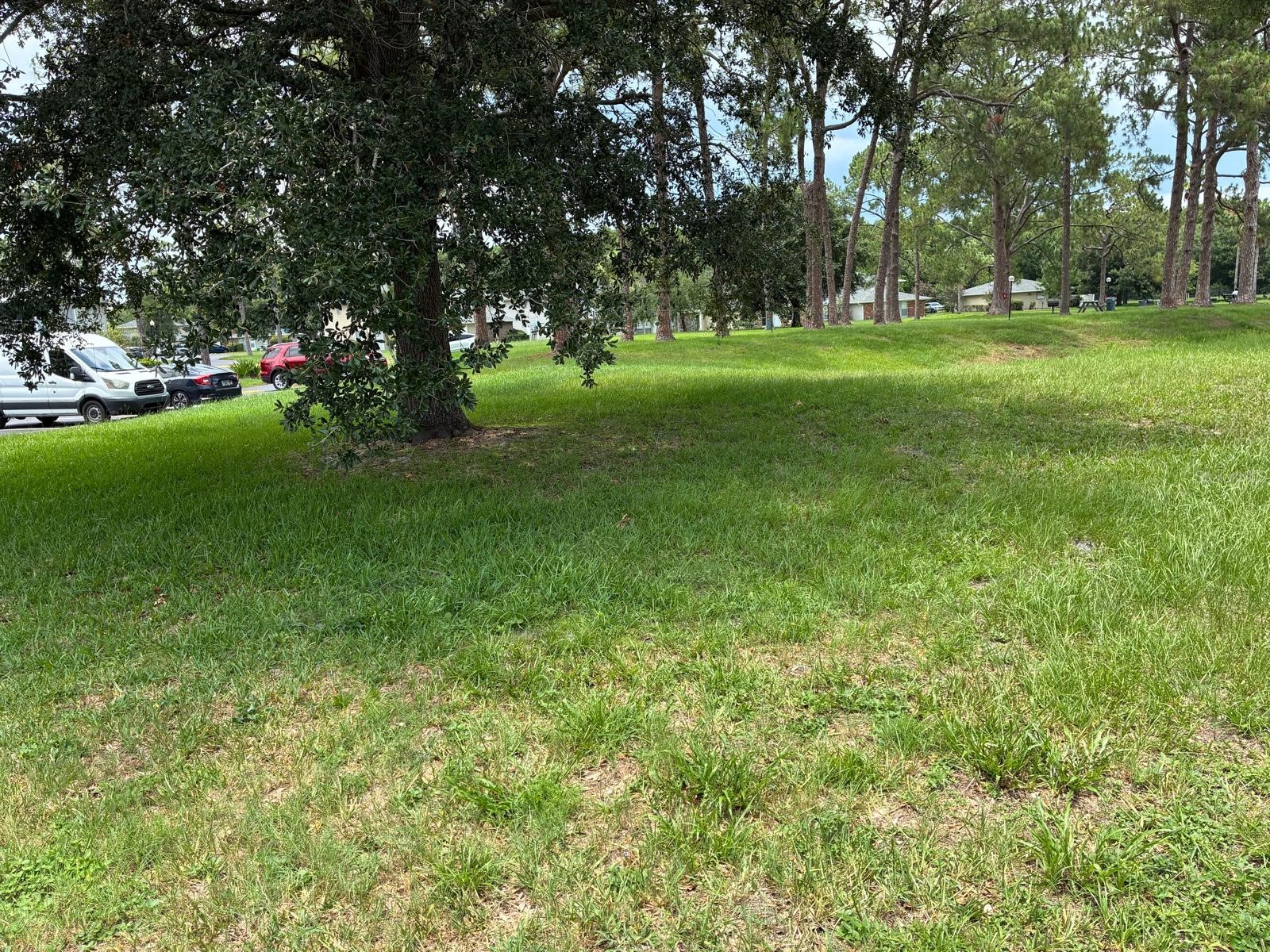 4361 Shadow Crest Place #32-3 Orlando FL 32811 O6421957 image31