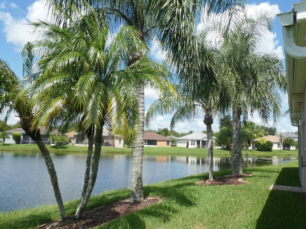 4361 Whistlewood Circle Lakeland FL 33811 S5138151 image3