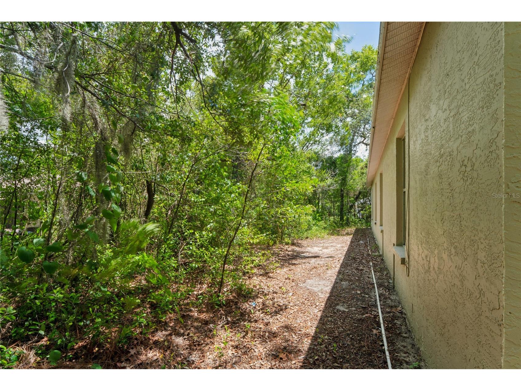 4362 Azora Road Spring Hill FL 34608 W7886870 image37