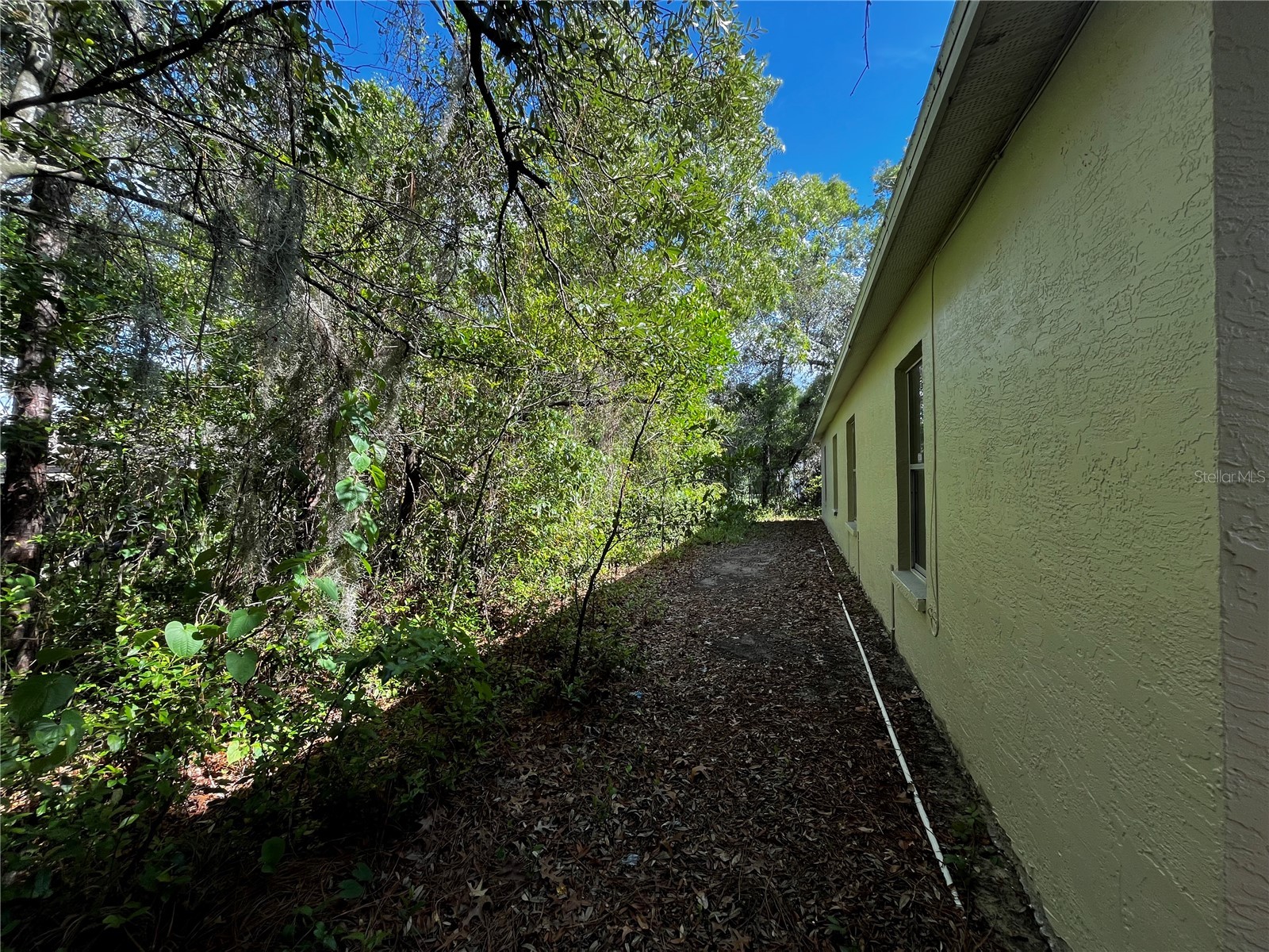 4362 Azora Road Spring Hill FL 34608 W7886870 image39
