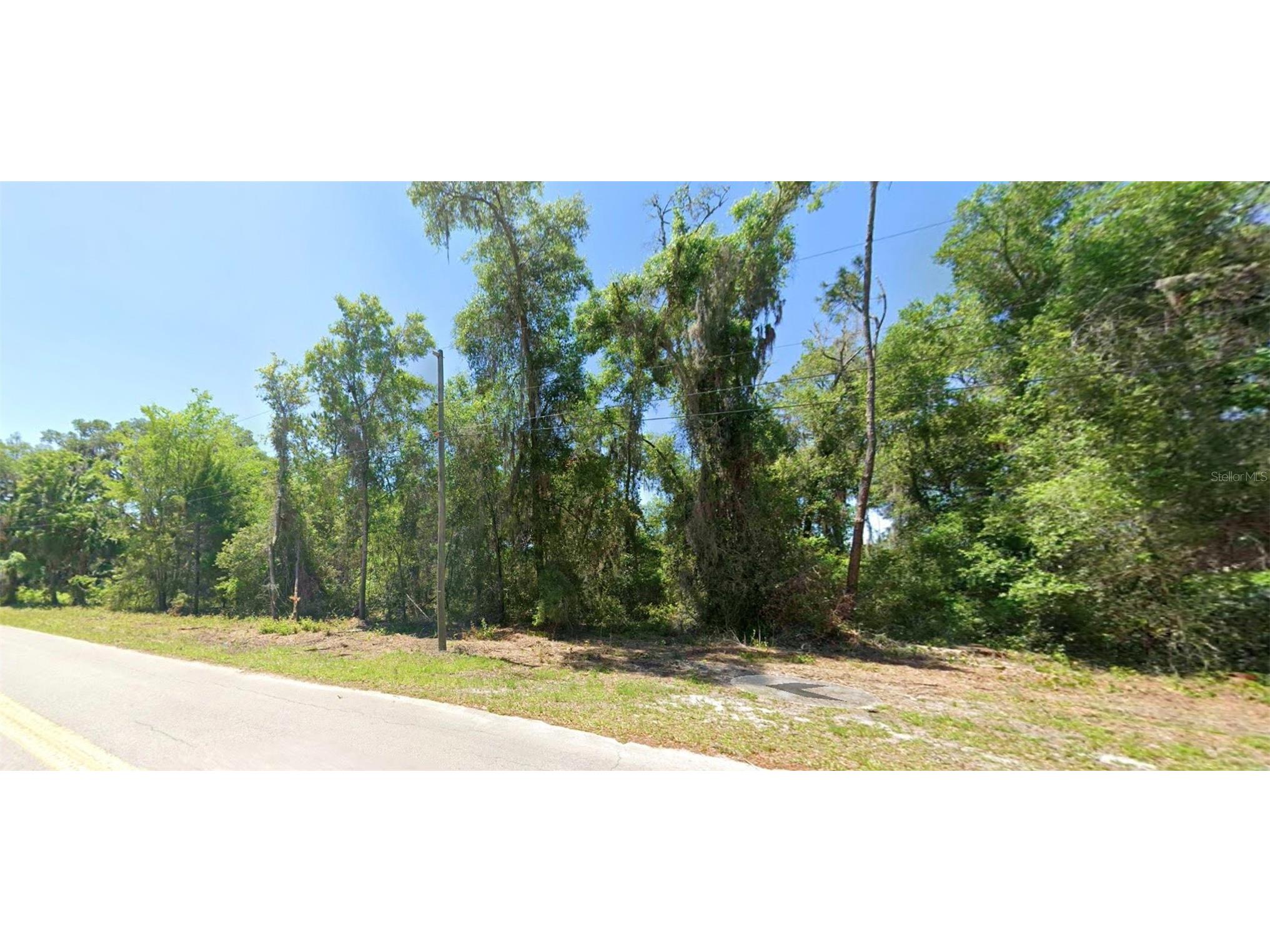4362 E Mate Lane Hernando FL 34442 S5152462 image6