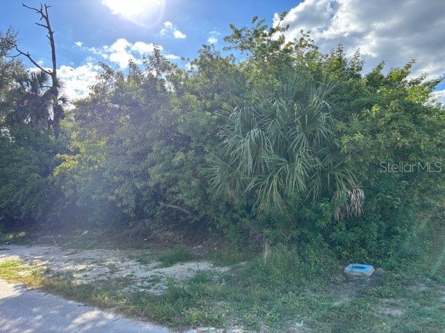 4363 Boggs Street Port Charlotte FL 33948 C7517852 image3