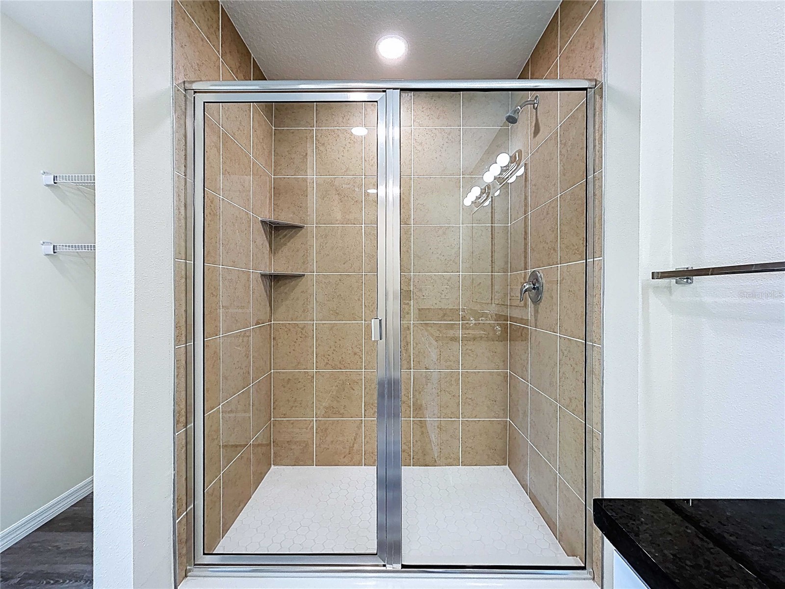 4364 Cambio Gardens Court Tampa FL 33610 TB8438890 image19