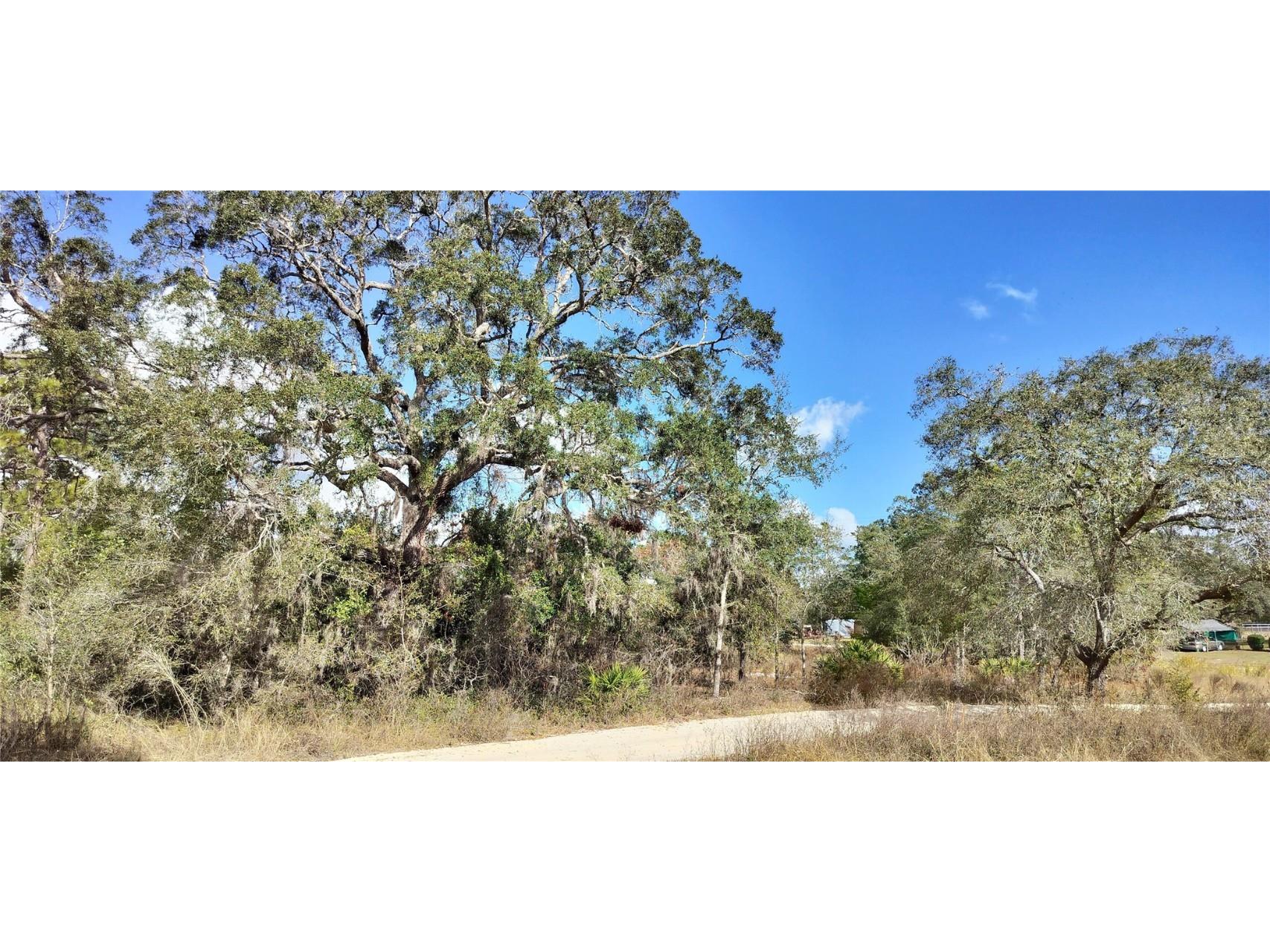 4364 S Velma Point Homosassa FL 34446 TB8330449 image1