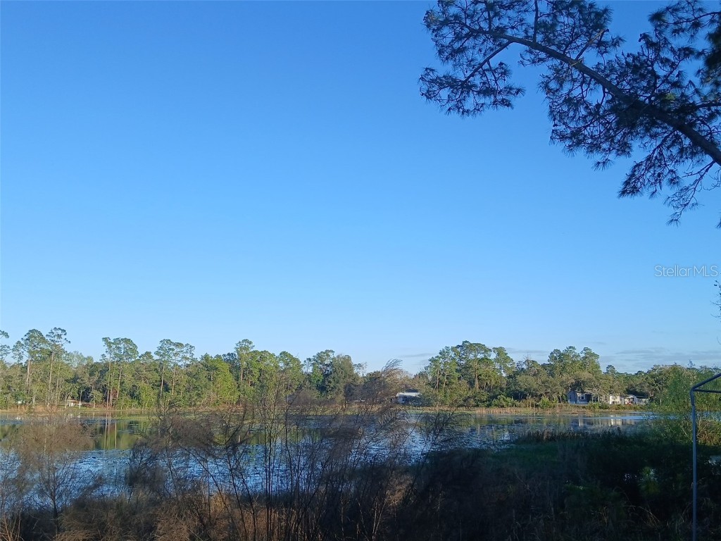 43648 S Island Drive Paisley FL 32767 G5093306 image11