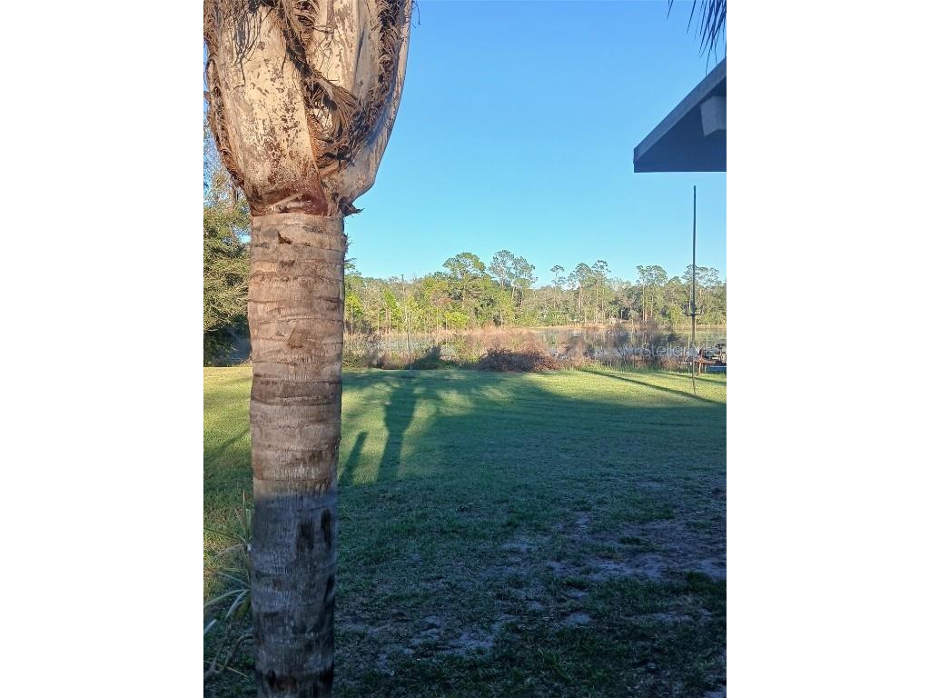 43648 S Island Drive Paisley FL 32767 G5093306 image14