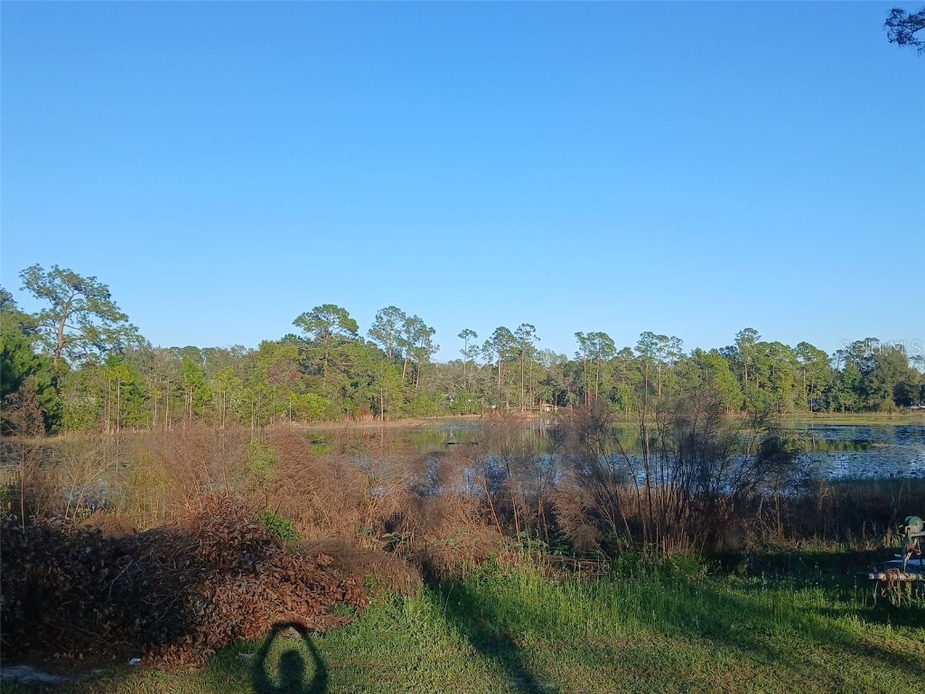 43648 S Island Drive Paisley FL 32767 G5093306 image23