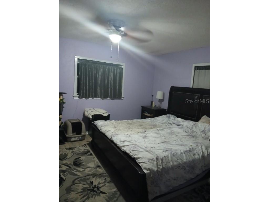 43648 S Island Drive Paisley FL 32767 G5093306 image27