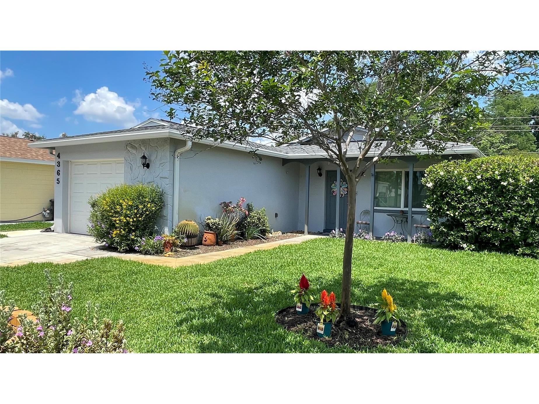 4365 66th Avenue N Pinellas Park FL 33781 W7885316 image4