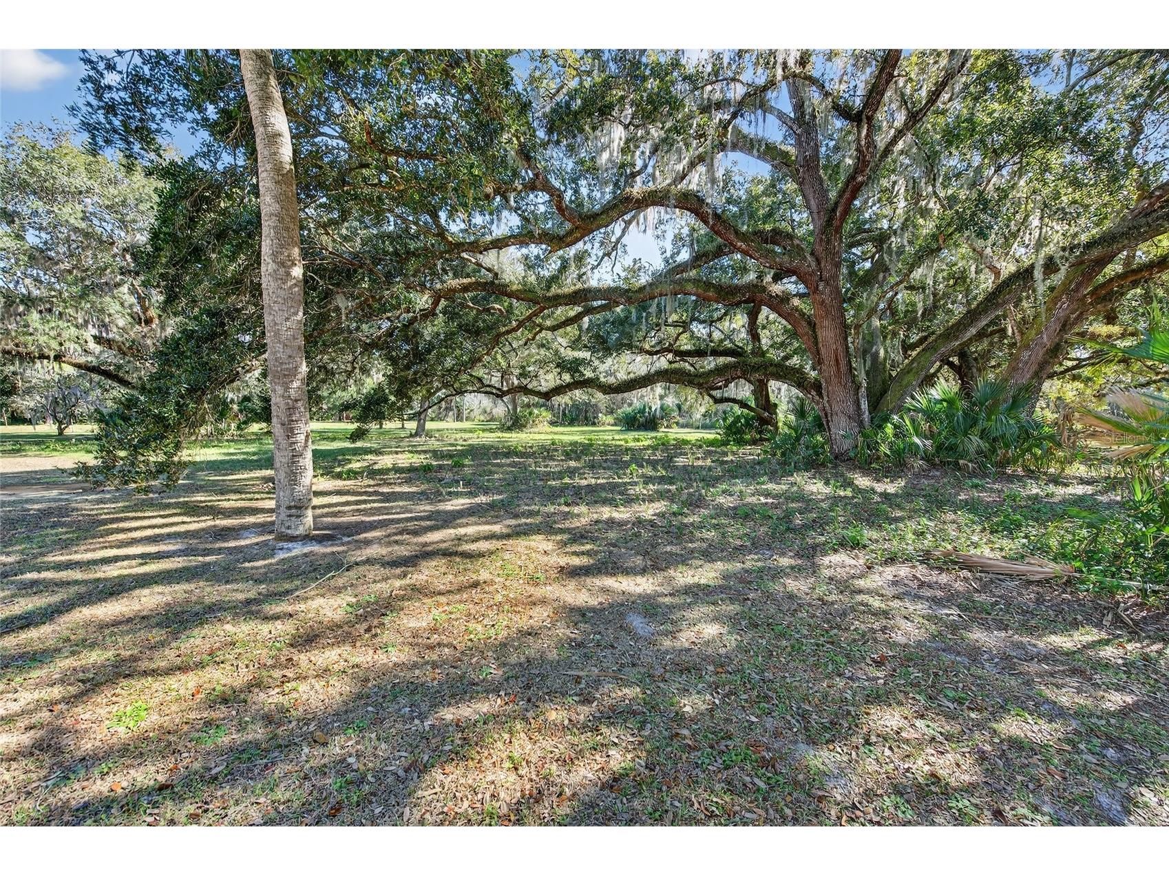 4365 Burkholm Mims FL 32754 NS1087295 image51