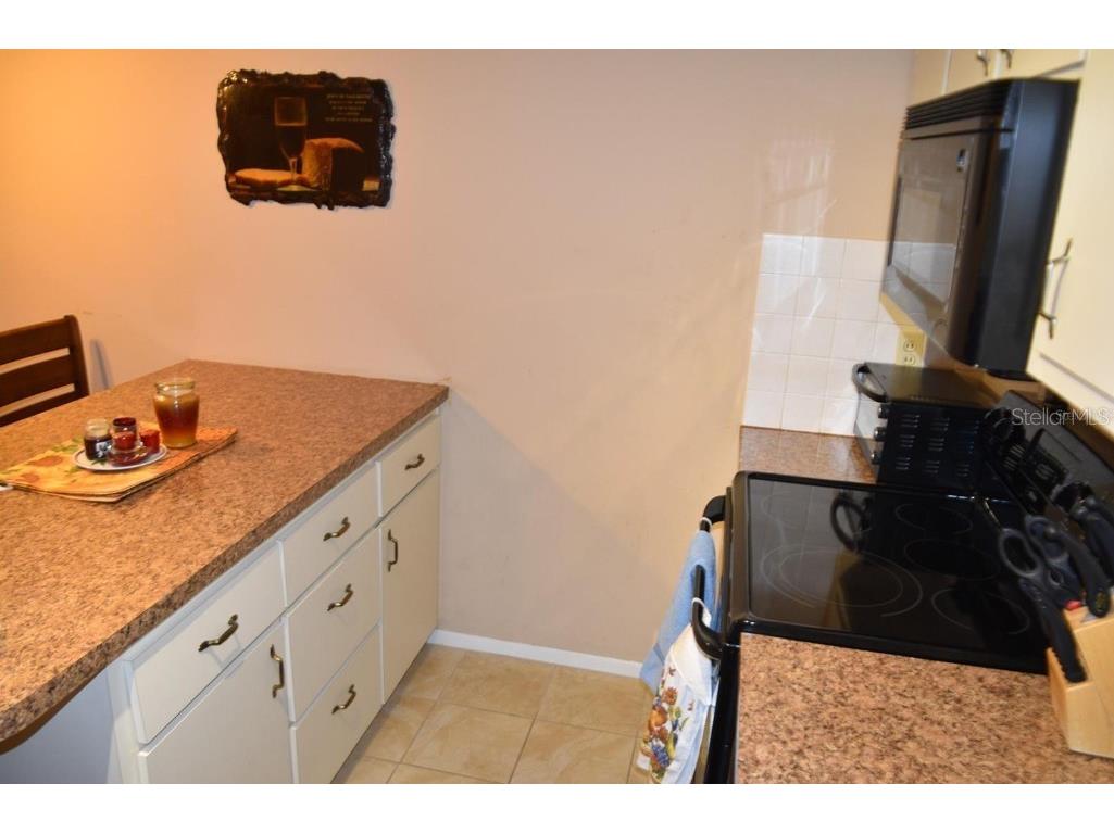 4365 Tahitian Gardens Circle #C Holiday FL 34691 TB8425445 image5