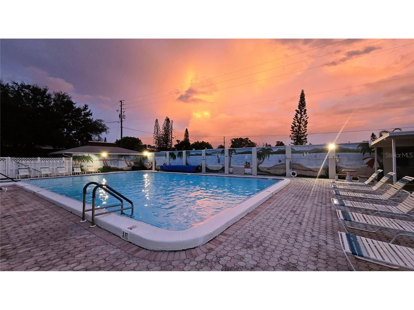 4365 Tahitian Gardens Circle #E Holiday FL 34691 TB8434737 image5