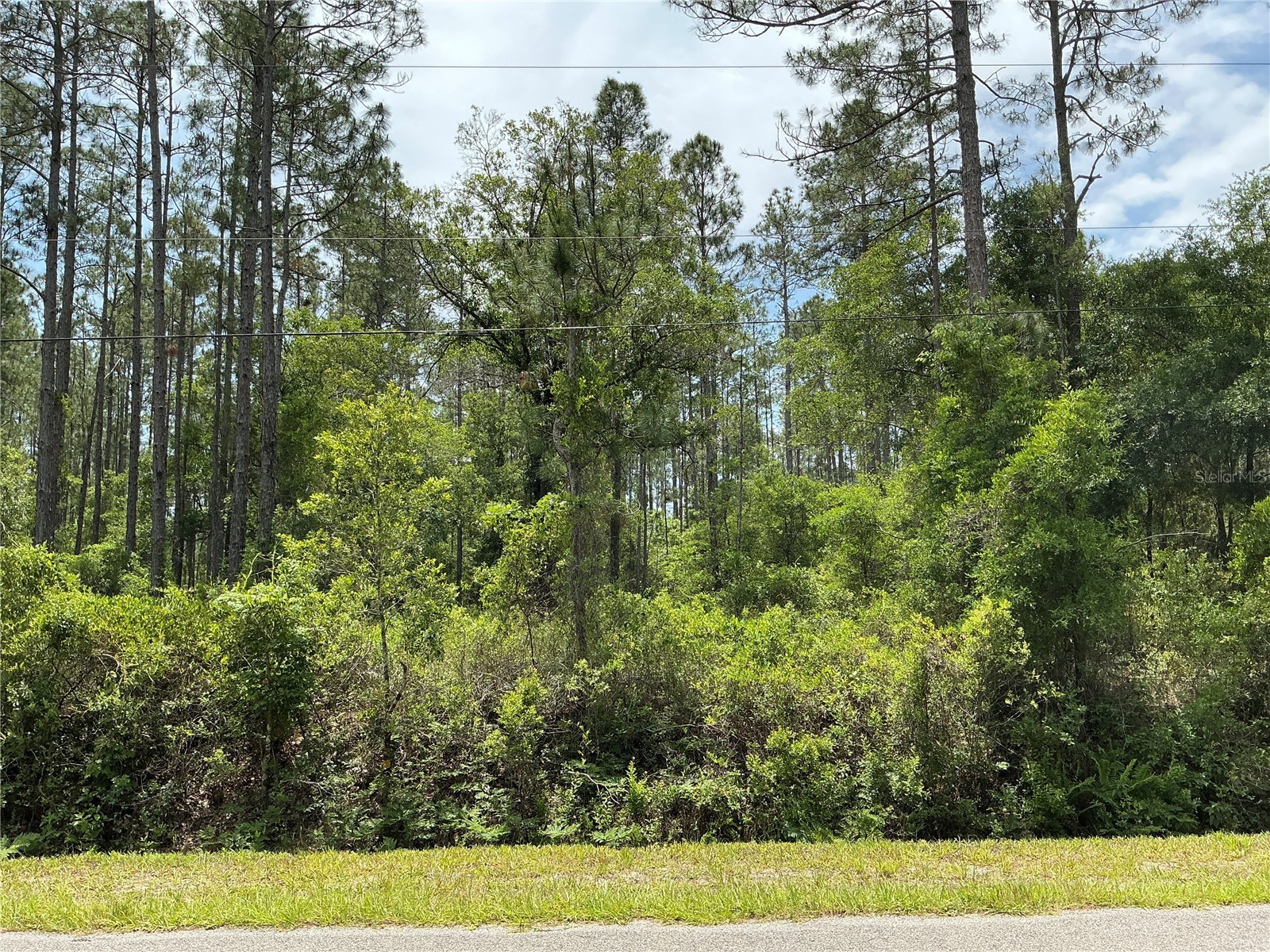 4365 Vicki Street Hastings FL 32145 OM725852 image1
