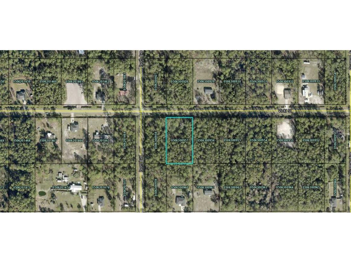 4365 Vicki Street Hastings FL 32145 OM725852 image2