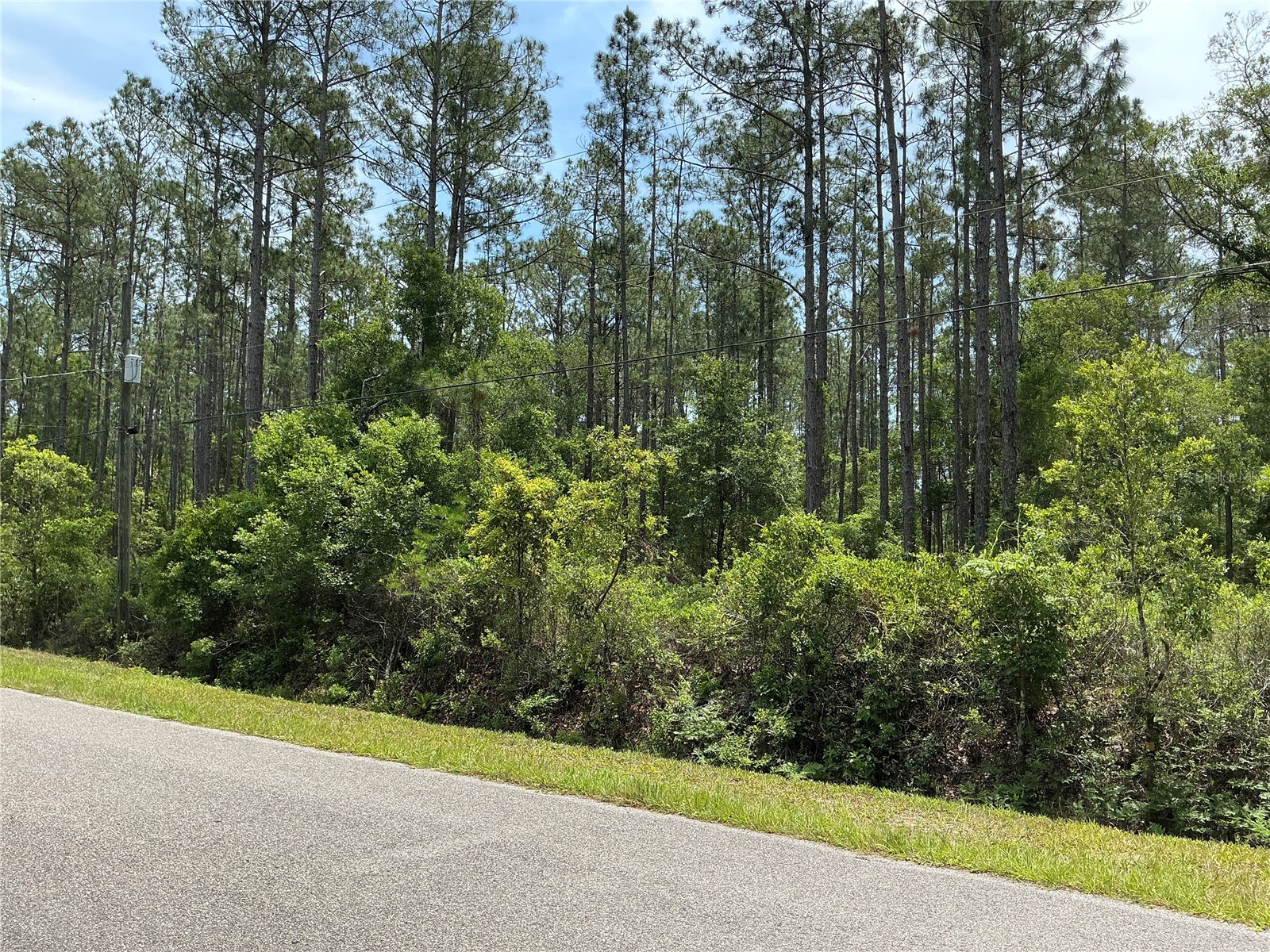 4365 Vicki Street Hastings FL 32145 OM725852 image3