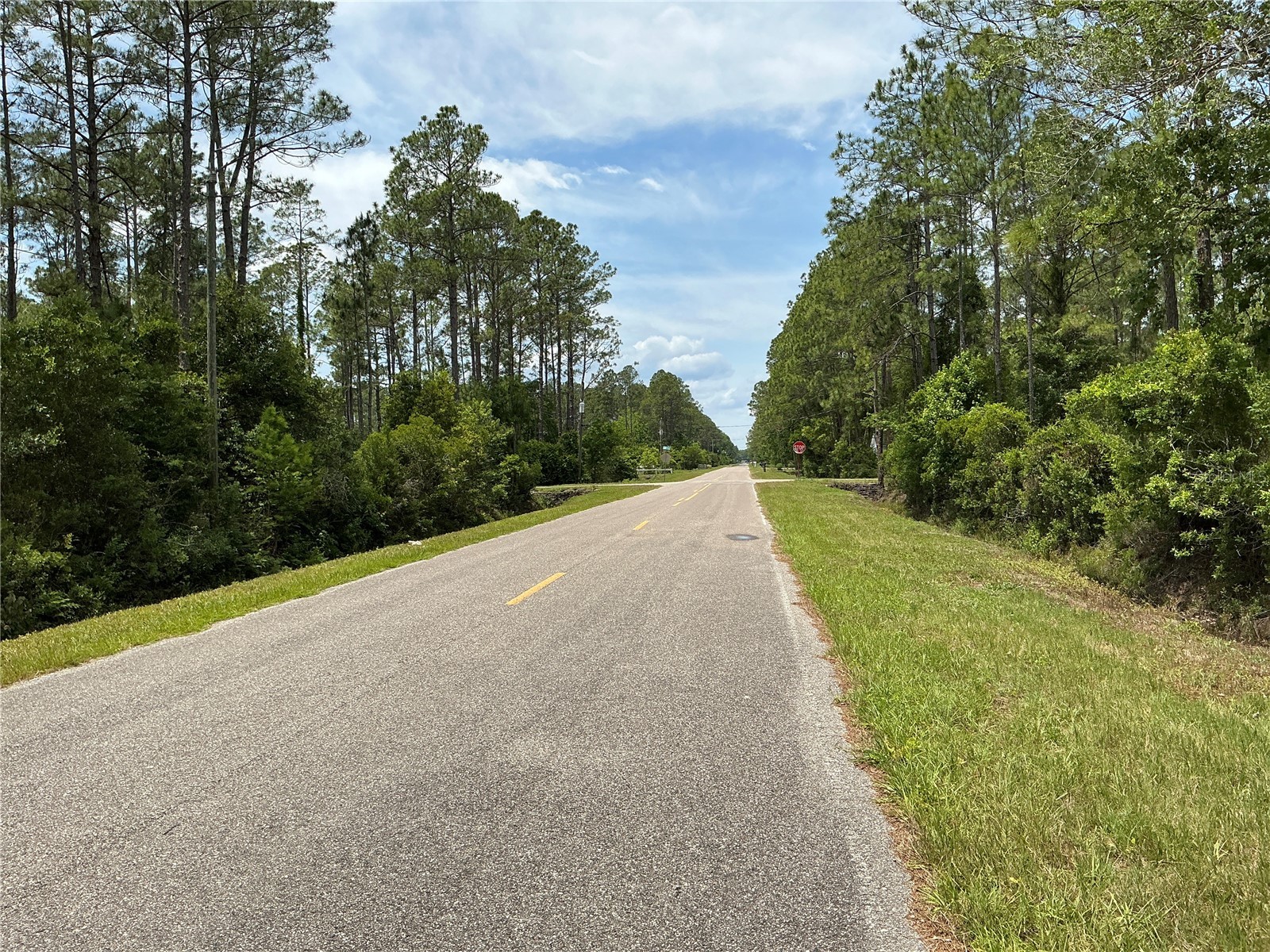 4365 Vicki Street Hastings FL 32145 OM725852 image5