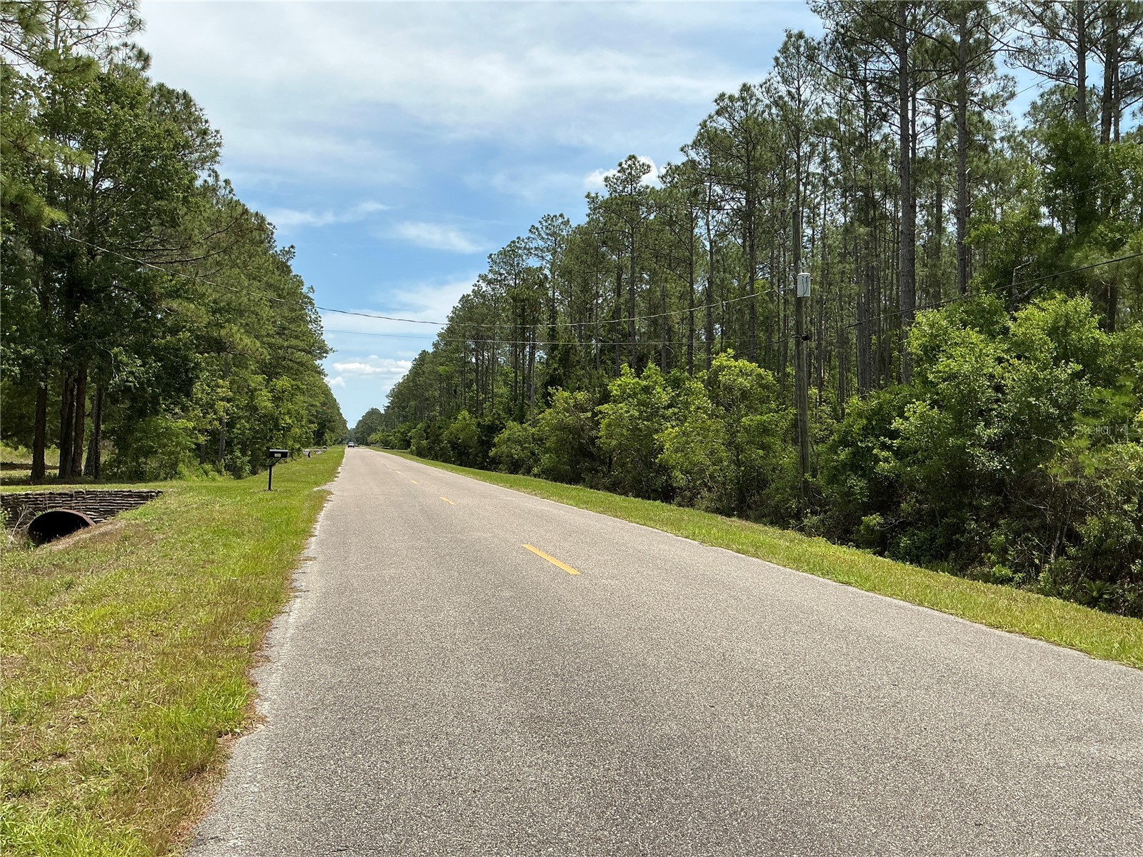 4365 Vicki Street Hastings FL 32145 OM725852 image6