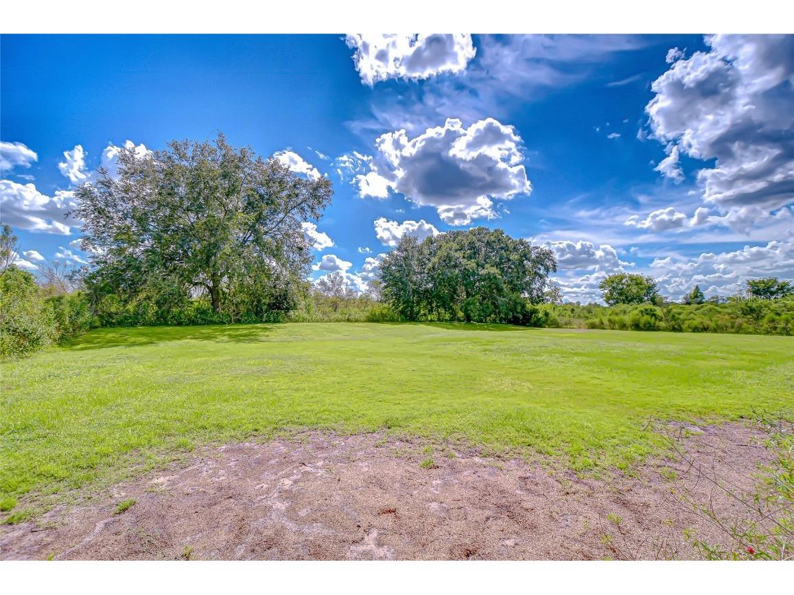 43650 County Road 54 E Kathleen FL 33849 TB8432383 image45