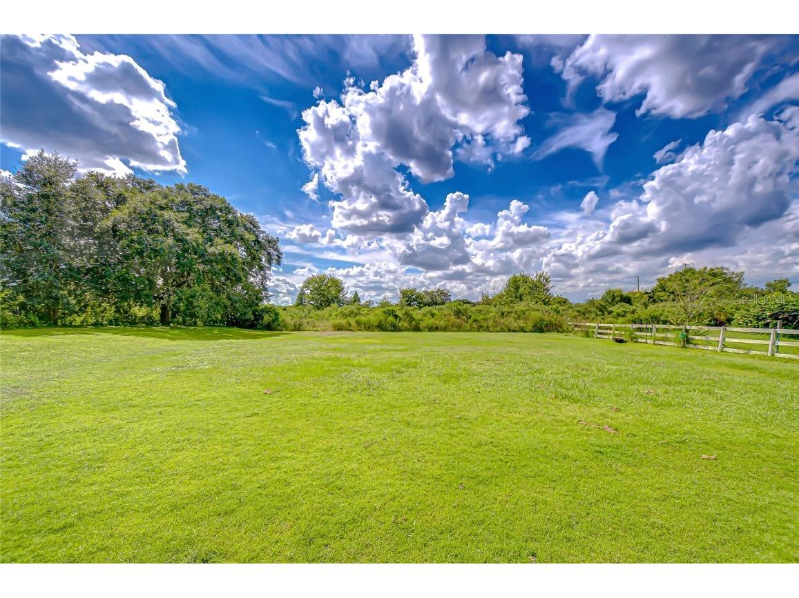 43650 County Road 54 E Kathleen FL 33849 TB8432383 image46