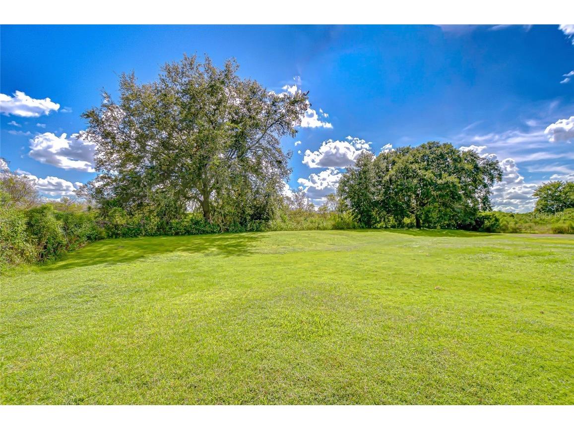 43650 County Road 54 E Kathleen FL 33849 TB8432383 image50