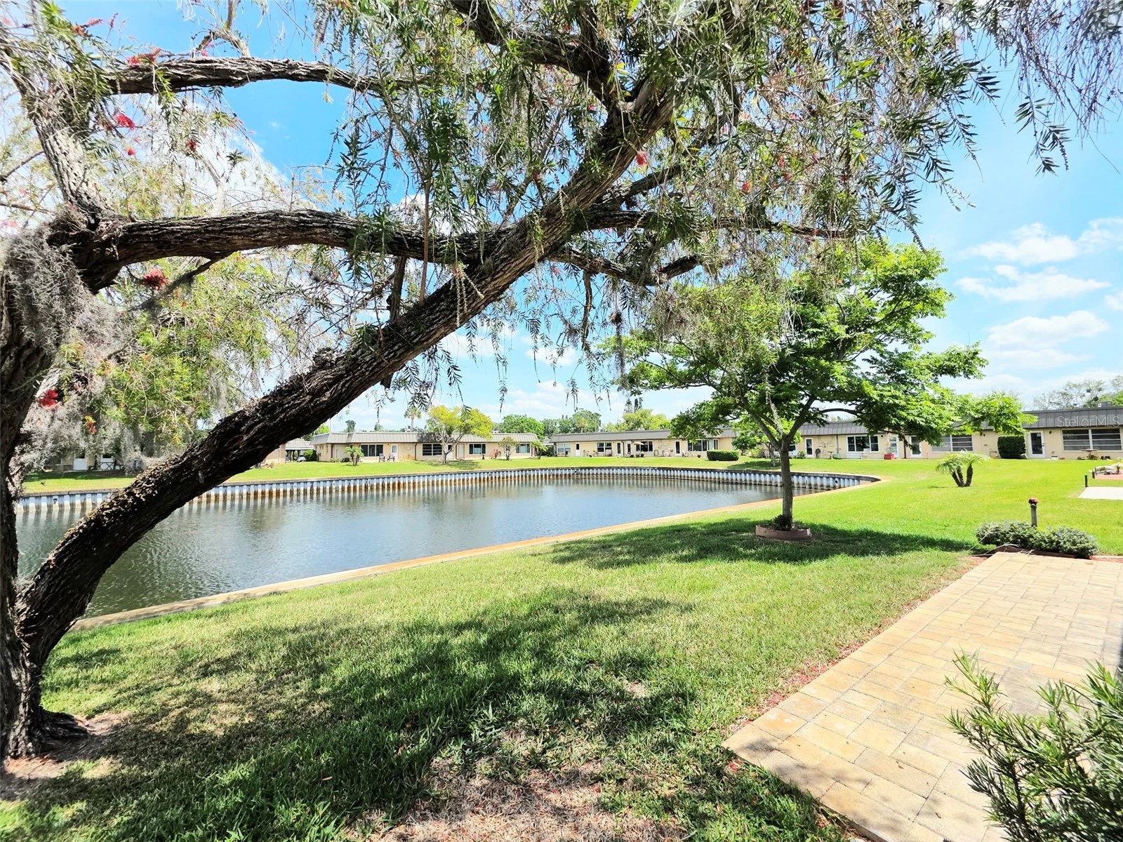 4366 Summersun Drive New Port Richey FL 34652 W7885119 image29