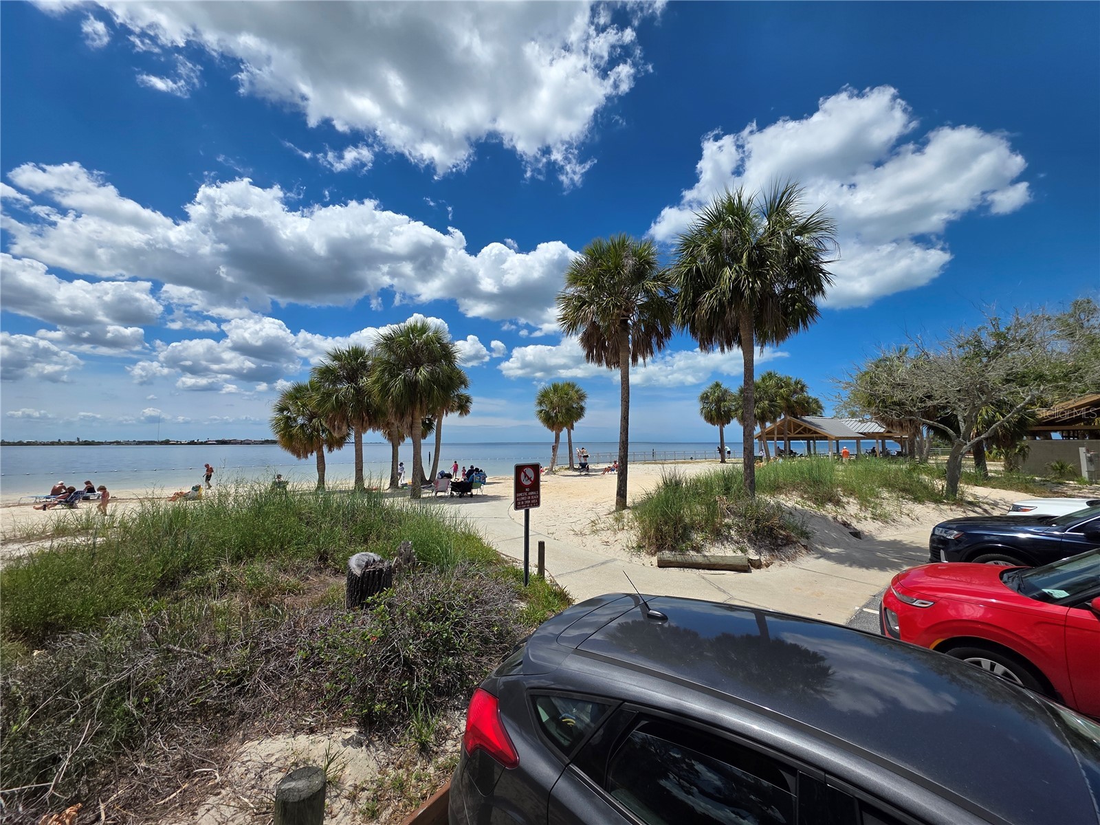 4366 Summersun Drive New Port Richey FL 34652 W7885119 image42