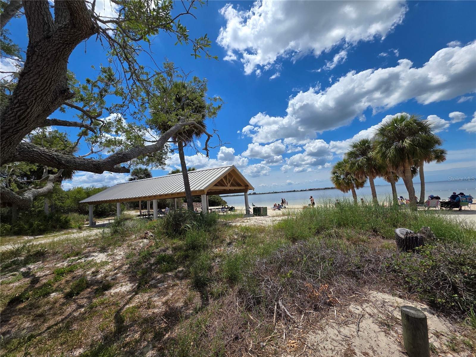 4366 Summersun Drive New Port Richey FL 34652 W7885119 image43