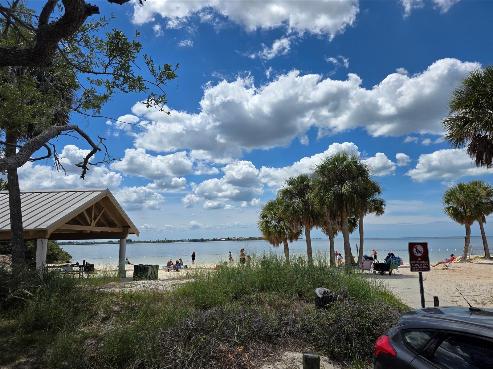 4366 Summersun Drive New Port Richey FL 34652 W7885119 image44