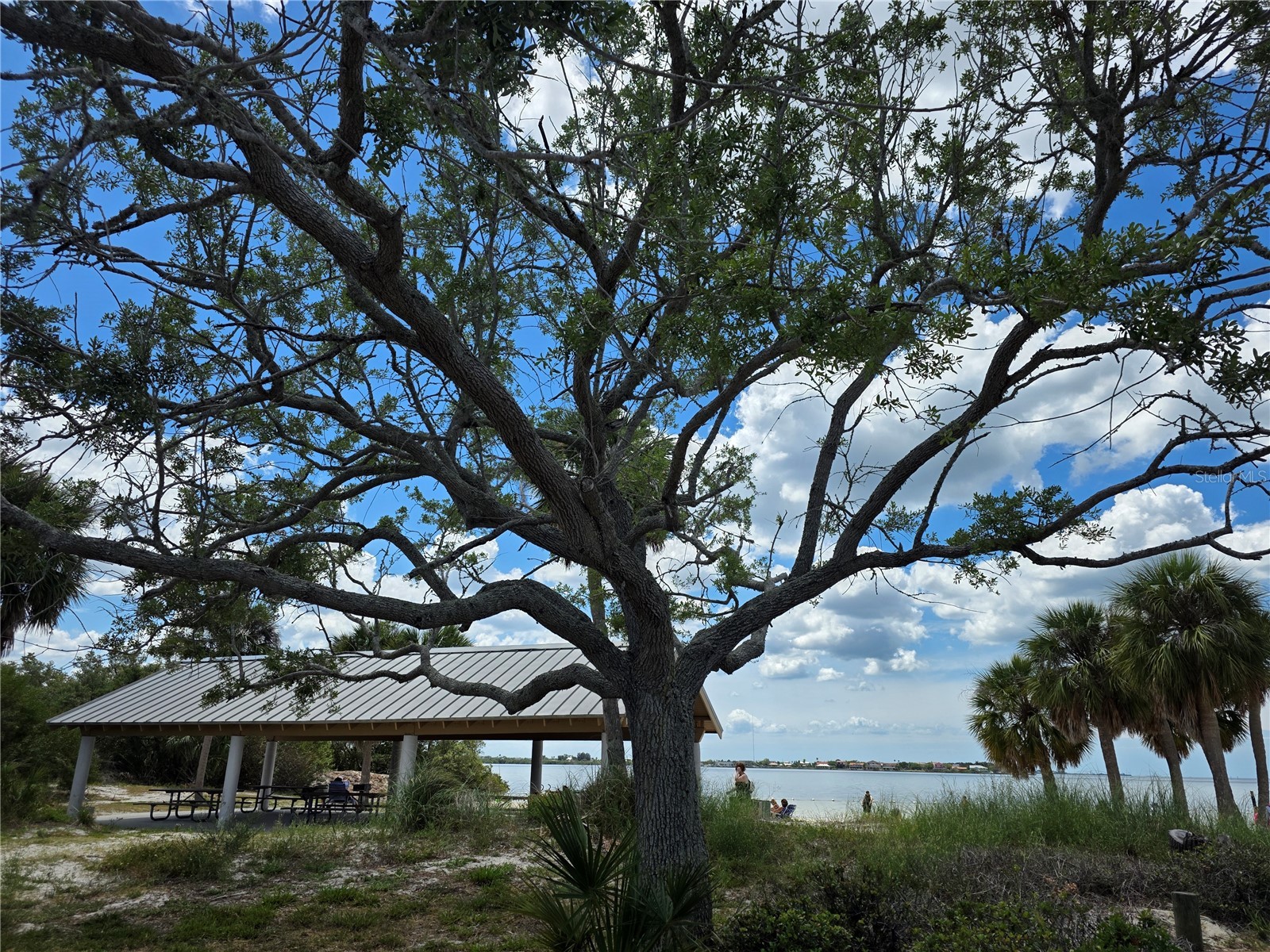 4366 Summersun Drive New Port Richey FL 34652 W7885119 image45