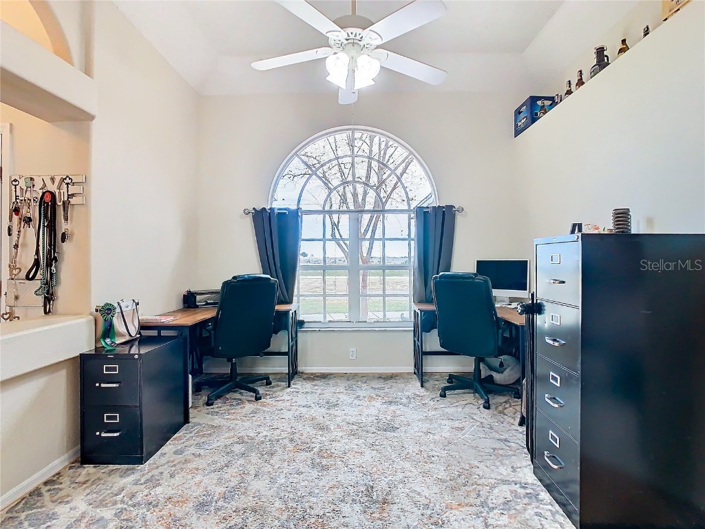 4367 Burns Road Brooksville FL 34602 TB8319268 image23