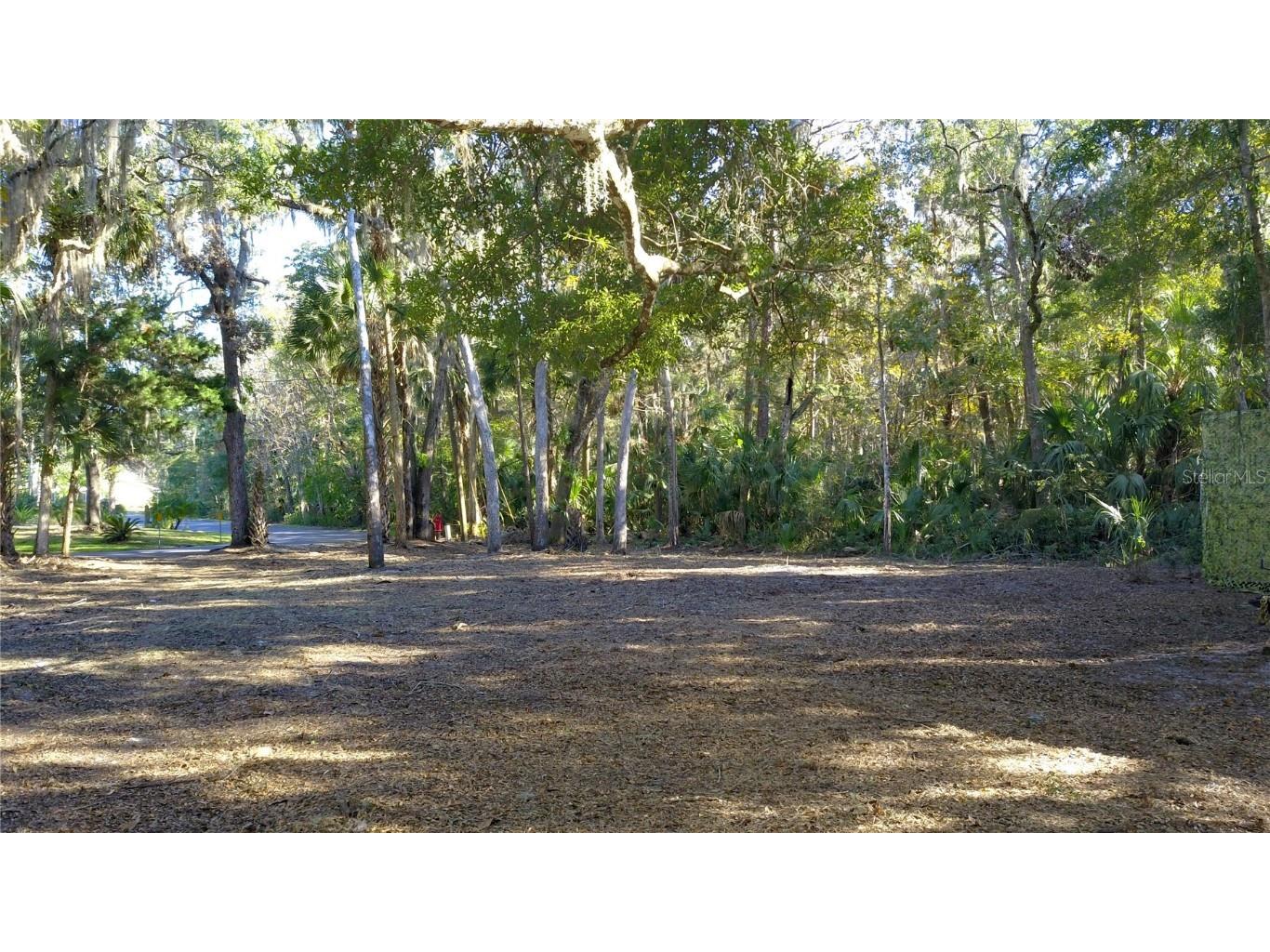 4367 S Conwell Point Homosassa FL 34448 TB8326547 image1