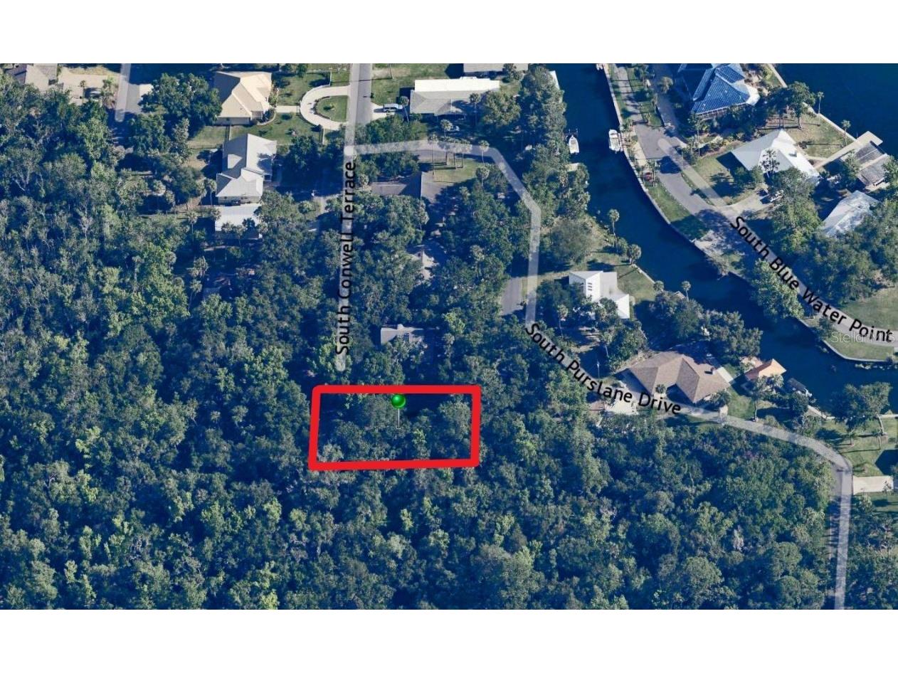 4367 S Conwell Point Homosassa FL 34448 TB8326547 image12