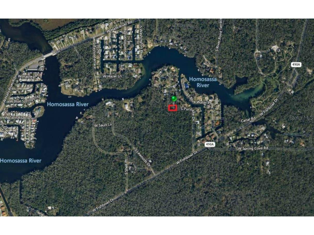 4367 S Conwell Point Homosassa FL 34448 TB8326547 image14