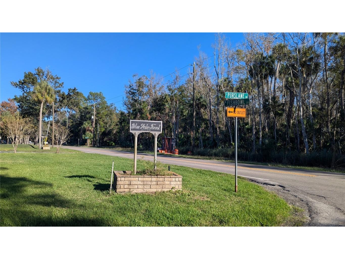 4367 S Conwell Point Homosassa FL 34448 TB8326547 image5