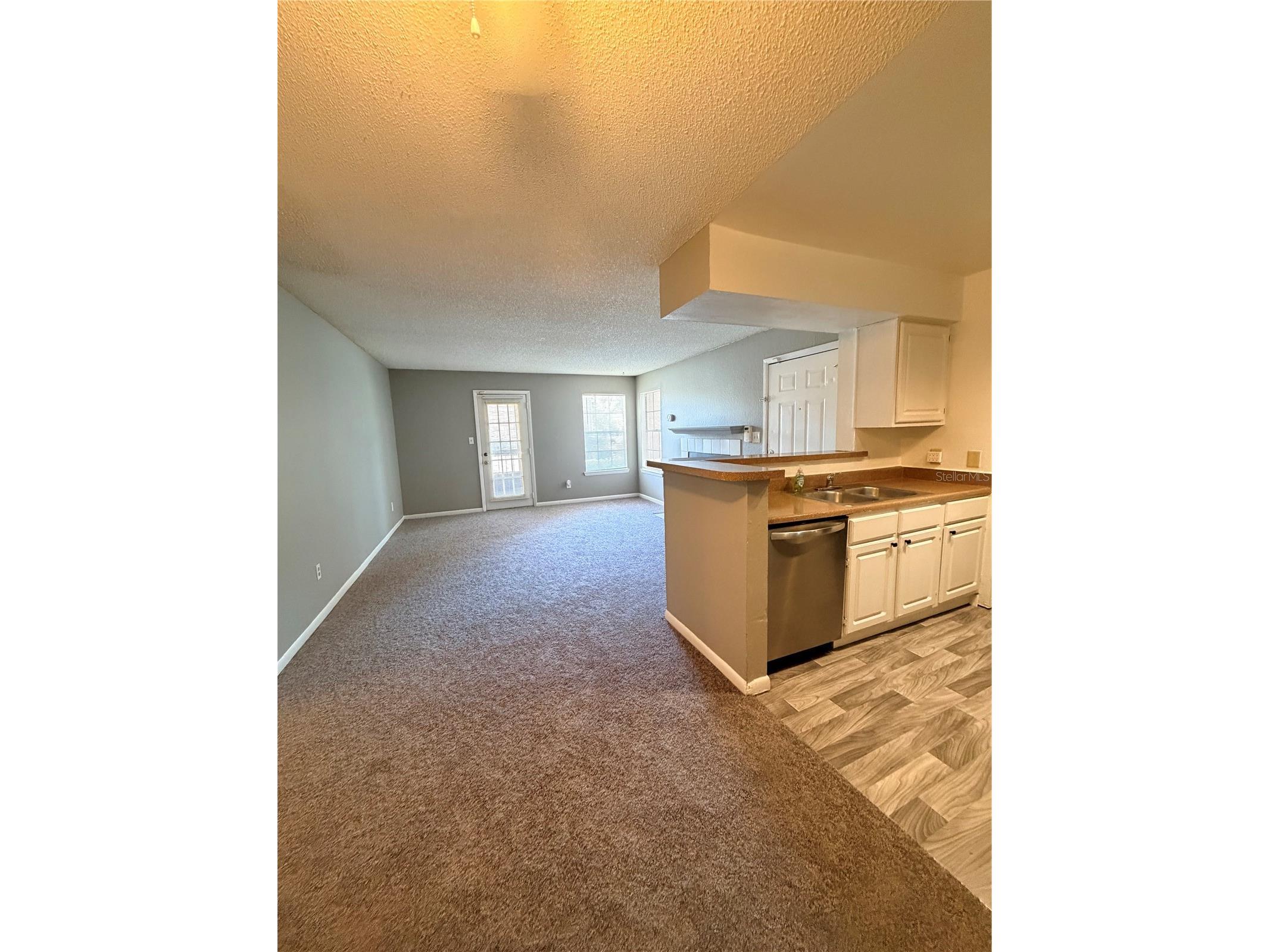 4367 Thornbriar Lane #107 Orlando FL 32822 S5148279 image4