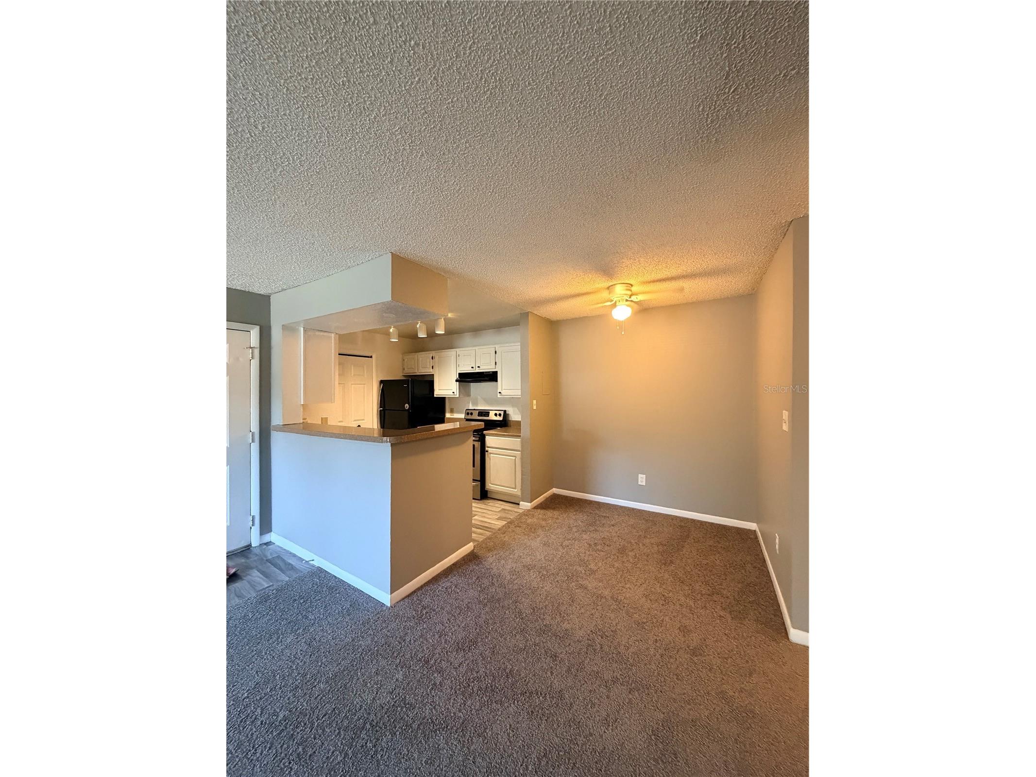 4367 Thornbriar Lane #107 Orlando FL 32822 S5148279 image5