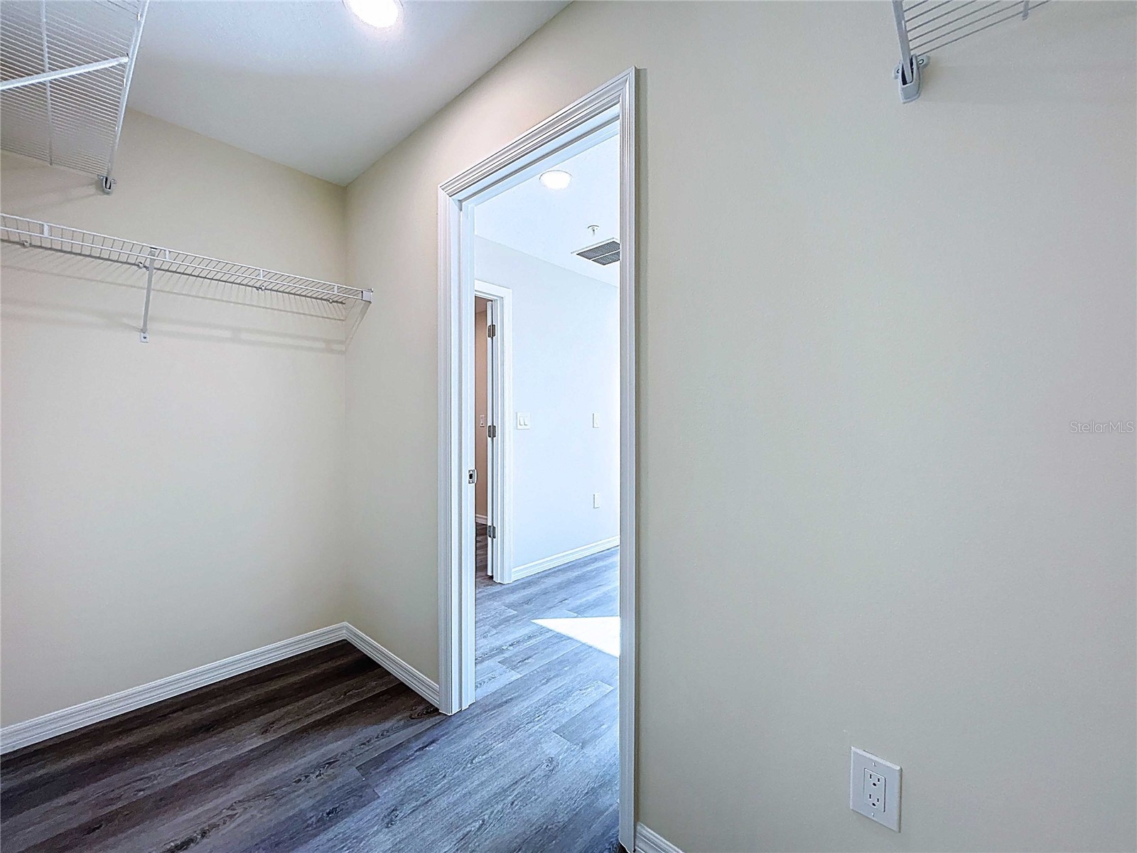 4368 Cambio Gardens Court Tampa FL 33610 TB8440346 image43