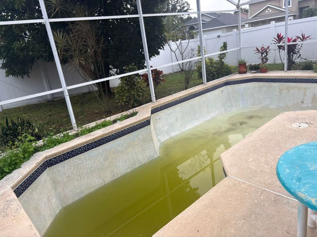 4368 Creekside Boulevard Kissimmee FL 34746 TB8454783 image20