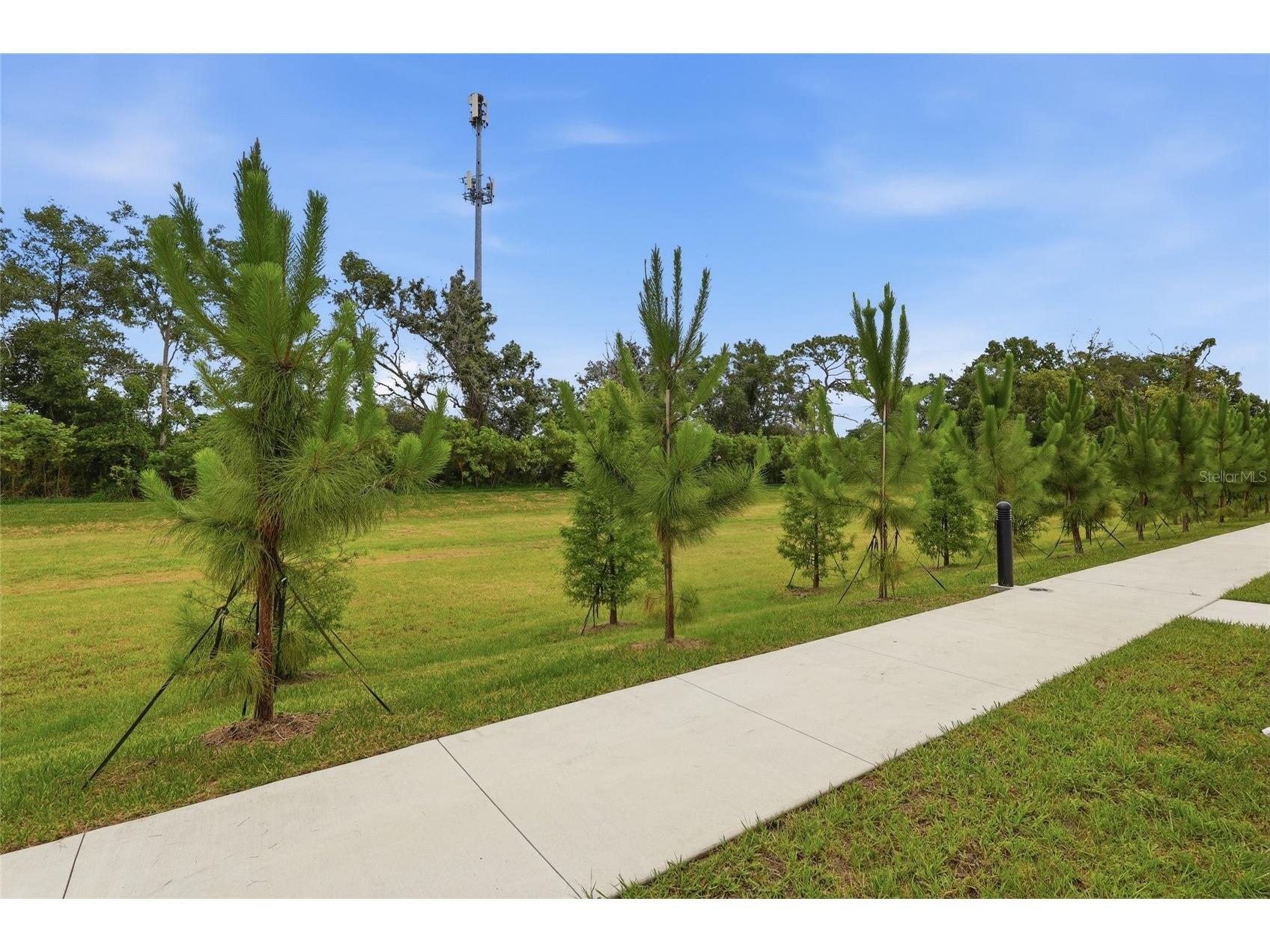 4369 Cambio Gardens Court Tampa FL 33610 TB8517543 image24