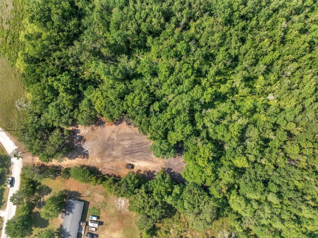 4369 Fanny Bass Lane Saint Cloud FL 34772 S5125956 image19