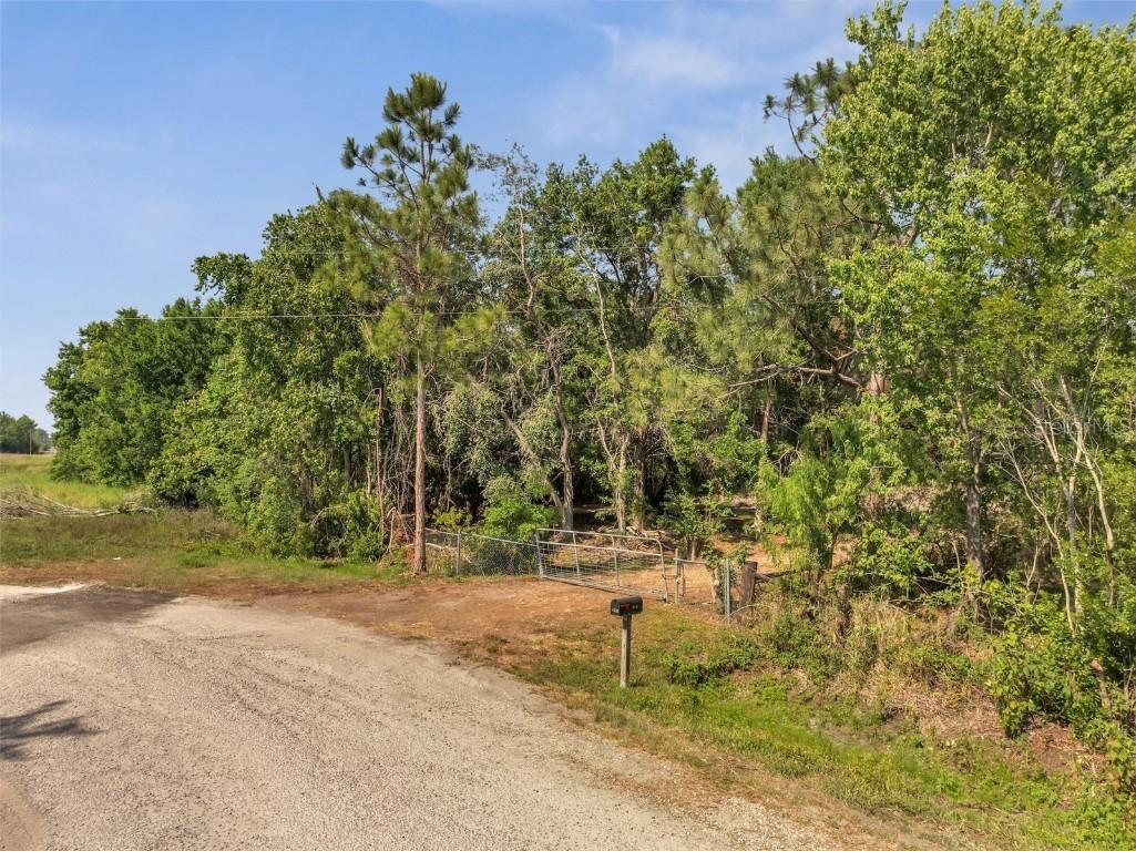 4369 Fanny Bass Lane Saint Cloud FL 34772 S5125956 image25