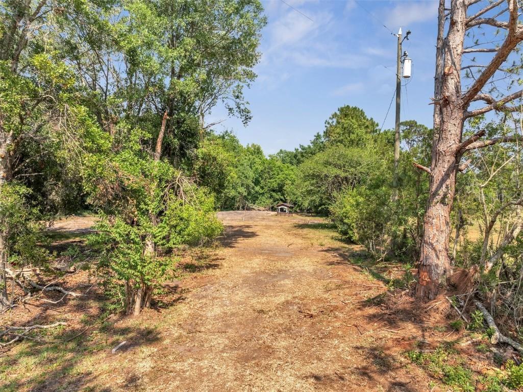 4369 Fanny Bass Lane Saint Cloud FL 34772 S5125956 image5