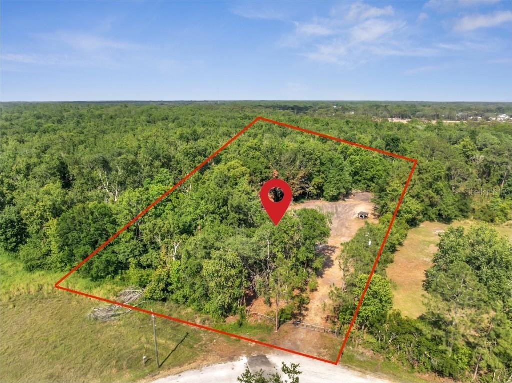 4369 Fanny Bass Lane Saint Cloud FL 34772 S5125956 image8