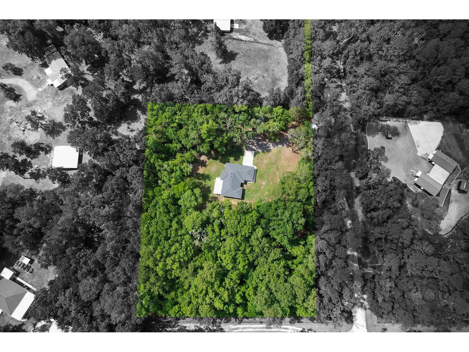 4369 SE 130th Street Belleview FL 34420 TB8510537 image44
