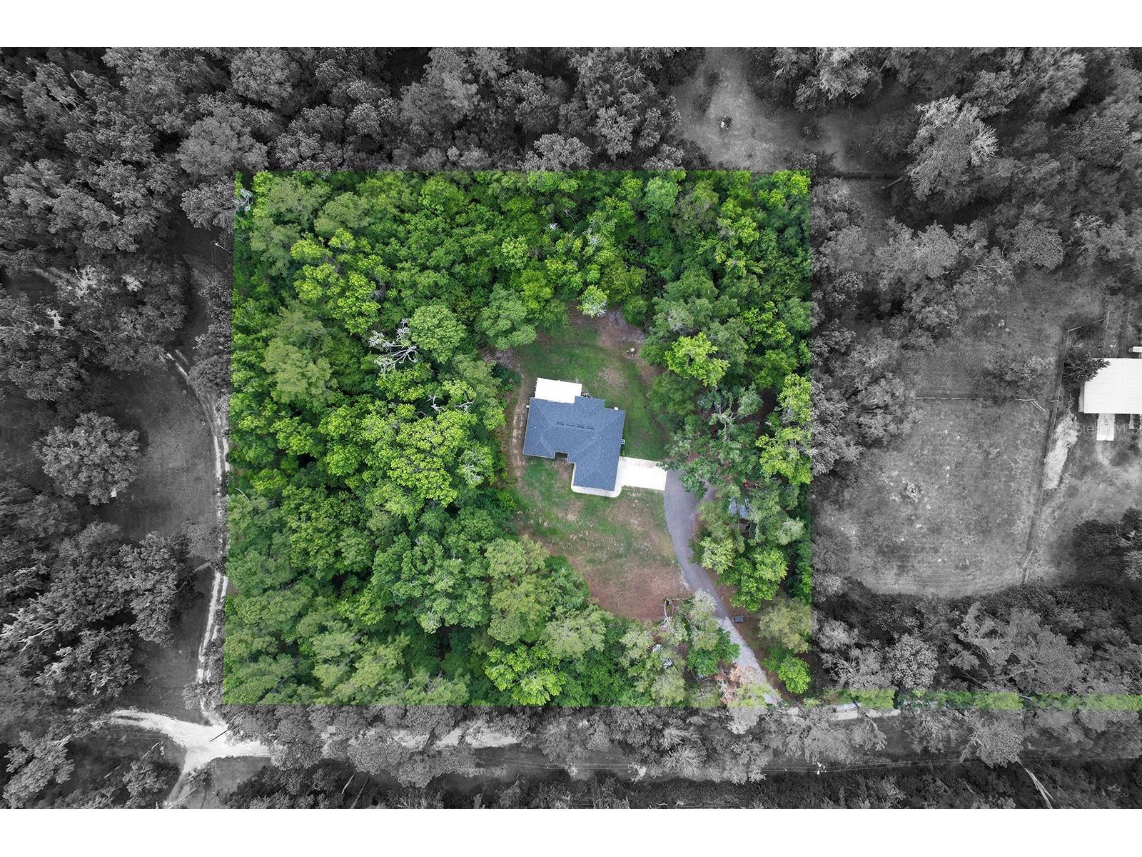 4369 SE 130th Street Belleview FL 34420 TB8510537 image49