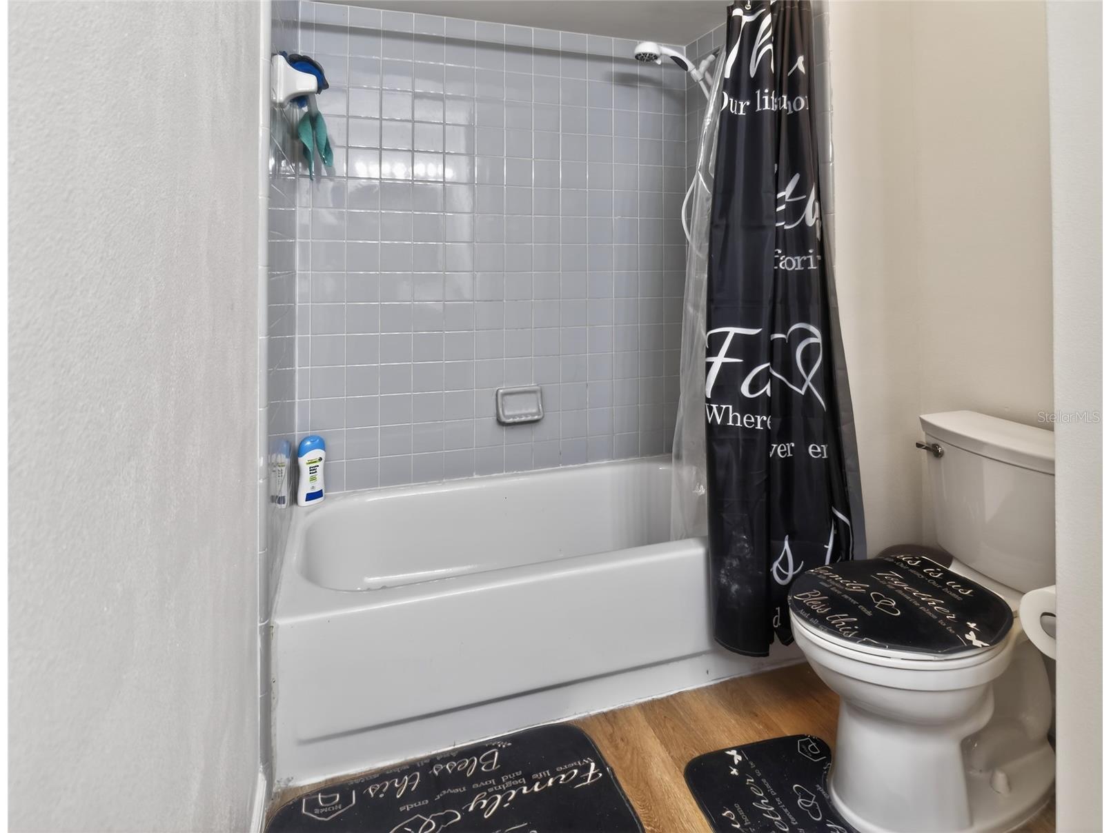 437 Alston Drive Orlando FL 32835 O6387883 image22