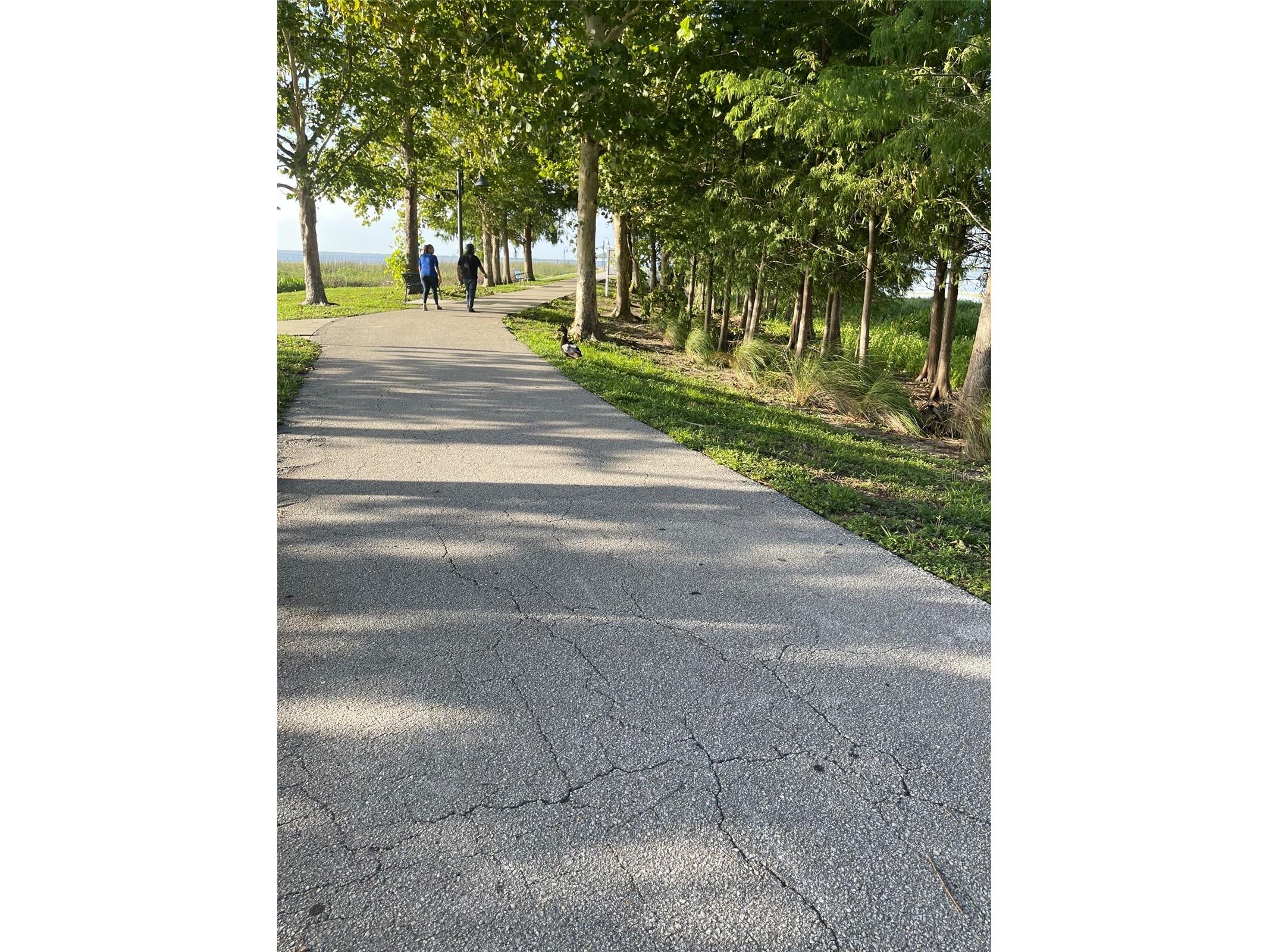 437 Carolina Avenue Saint Cloud FL 34769 - EAST LAKE TOHOPEKALIGA S5153874 image19